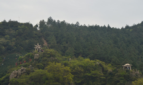 大阳山