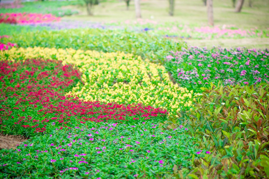 花园背景