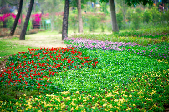 花园背景