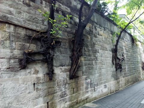 古老围墙