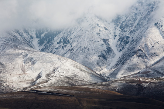 荒山 初雪