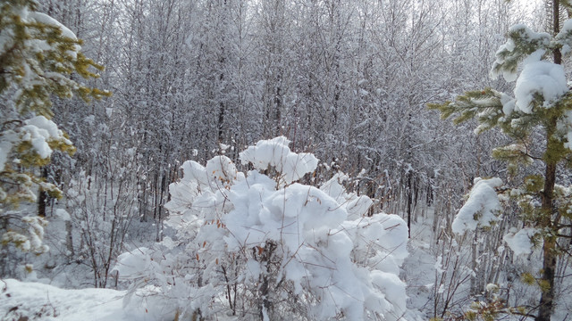 大兴安岭冰雪世界