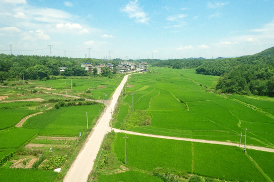 绿色乡村田园风景