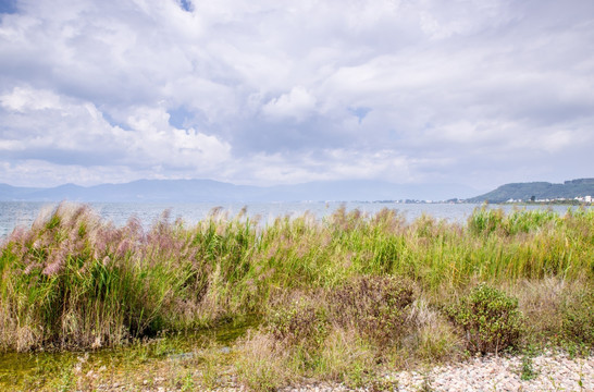 湖泊湿地