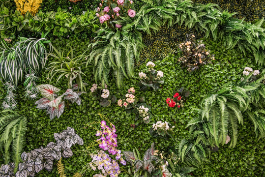 植物景观墙 花墙