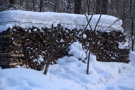 雪 树 村庄 雪乡 风景