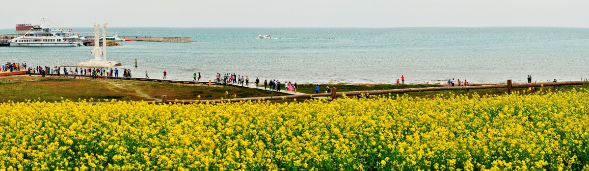 青海湖全景图3