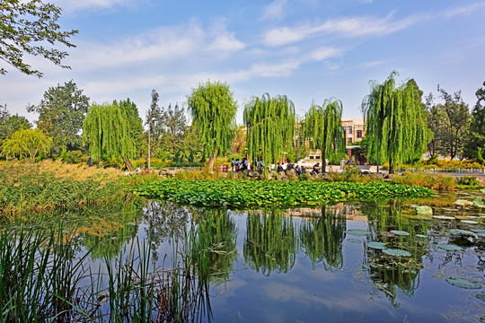 清华大学绿园