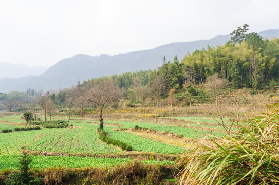 塔川秋色