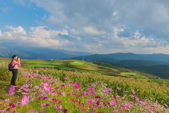 田园风光