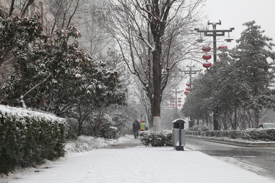 冬日雪景