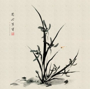 国画 兰花