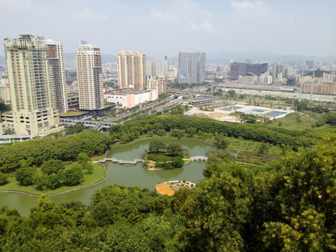 森林公园