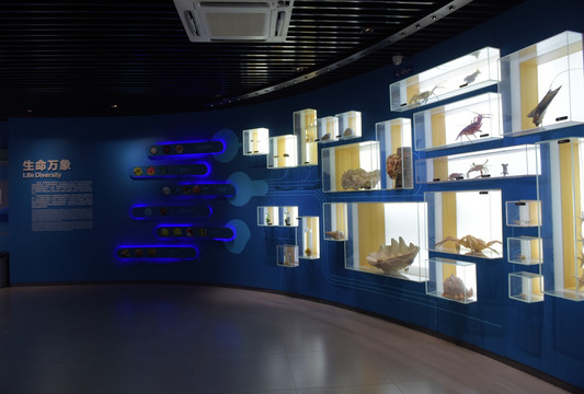海洋生物标本展馆
