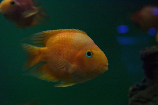 水族馆