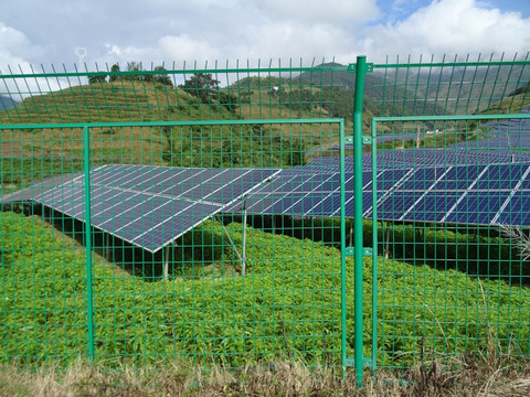 农光互补项目 凤仙花 太阳能板