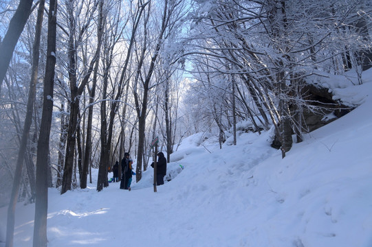 雪乡 雪乡风景 中国雪乡