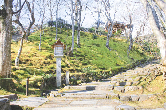 京都常寂光寺