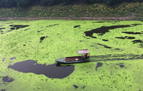 河道污染 苹果6p手机拍摄