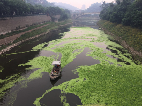 河道污染 苹果6p手机拍摄