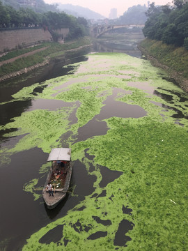 河道污染 苹果6p手机拍摄