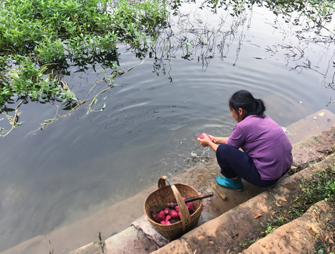 水边的妇女 苹果6p手机拍摄