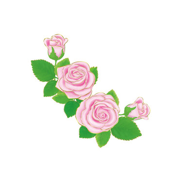 手绘玫瑰花图案