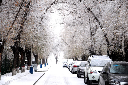 大雪 过后的街道