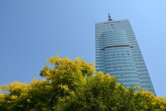 天津高楼