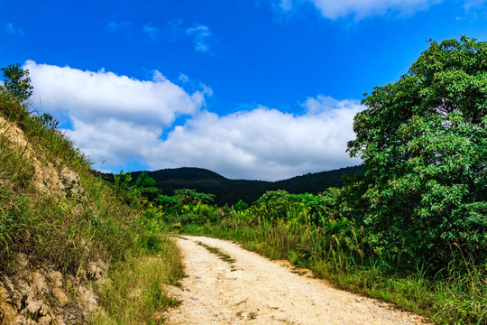 山路 土路