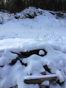 雪景 冰雪 雪地 冬季 冬景