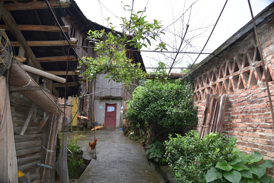 农家后院