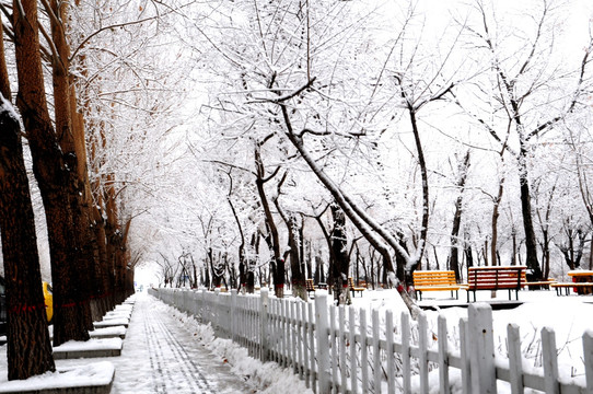 街道雪景