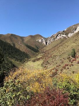 扎尕那风光