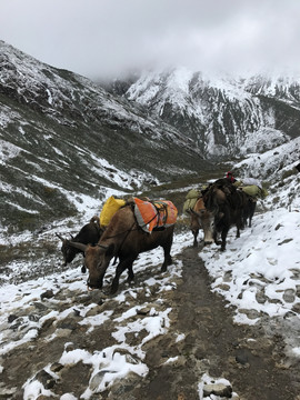 扎尕那风光