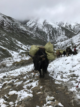 扎尕那风光