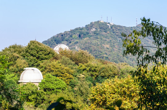 紫金山天文台