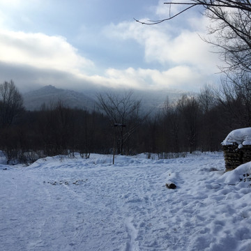 雪景 冰雪 雪地 冬季 冬景