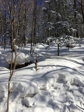 雪景 冬景 山峰 石峰 树木