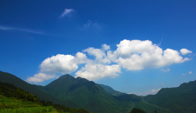 青山 大自然