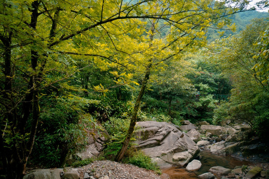 安吉浙北峡谷自然风景