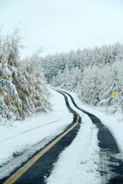 草原天路