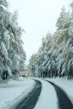 雪景