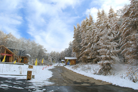 冬季滑雪场