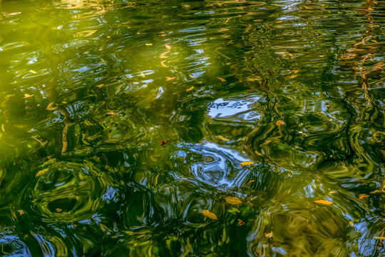 波光水面 波光粼粼 水面 水波