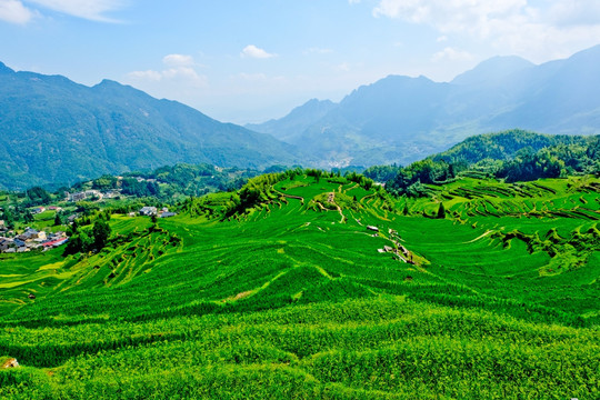 丽水风景