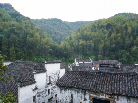 山林生态人家