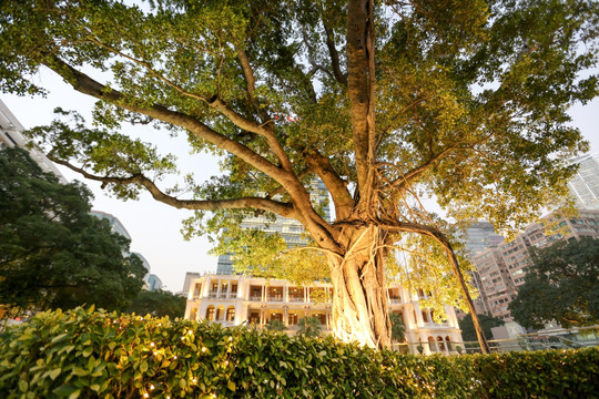 香港 海洋公园 繁华 维港