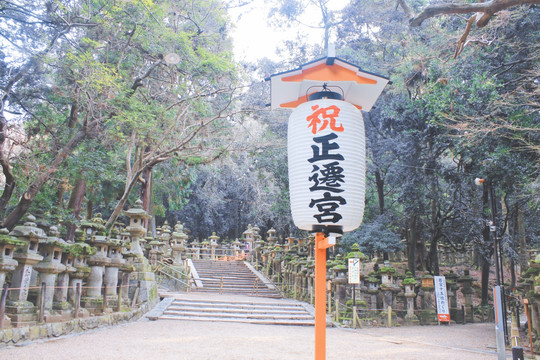 日本关西奈良神社 公园