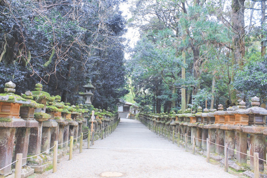 日本关西奈良神社 公园